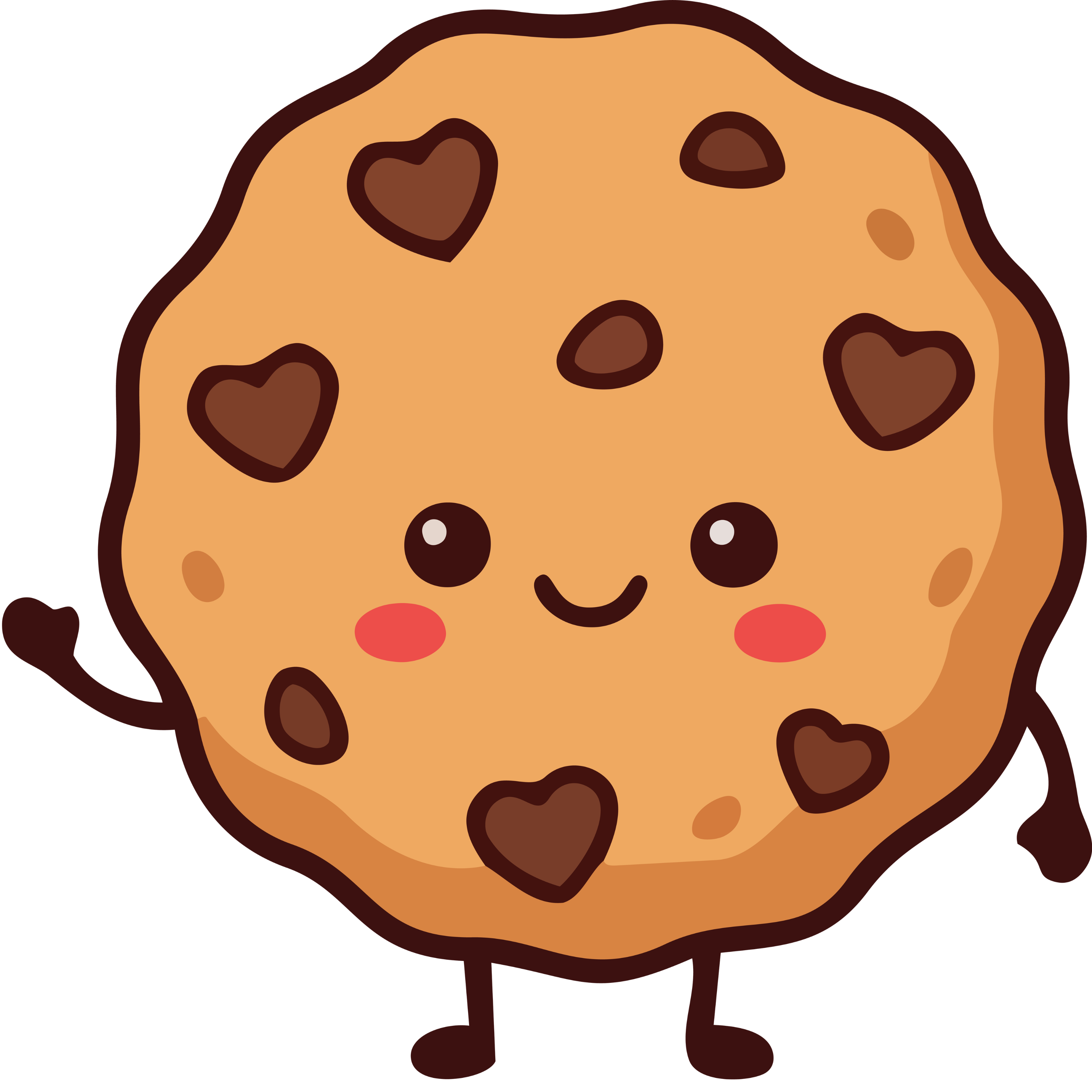 chocolate chip